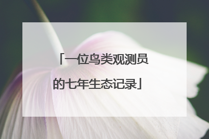一位鸟类观测员的七年生态记录