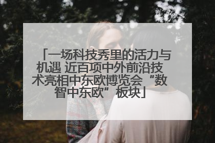 一场科技秀里的活力与机遇 近百项中外前沿技术亮相中东欧博览会“数智中东欧”板块