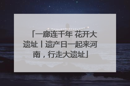一廊连千年 花开大遗址丨遗产日一起来河南，行走大遗址
