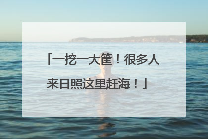 一挖一大筐！很多人来日照这里赶海！