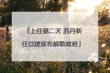 上任第二天 苏丹新任总理宣布解散政府