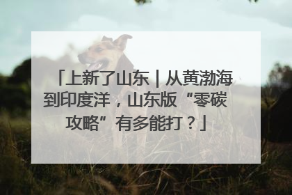 上新了山东｜从黄渤海到印度洋，山东版“零碳攻略”有多能打？