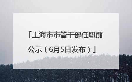上海市市管干部任职前公示（6月5日发布）