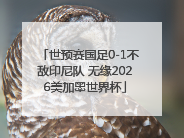 世预赛国足0-1不敌印尼队 无缘2026美加墨世界杯