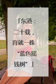 东港：二十载，育就一株“蓝色摇钱树”