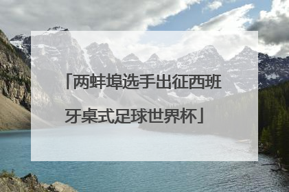 两蚌埠选手出征西班牙桌式足球世界杯