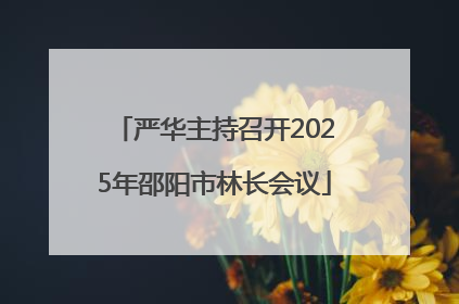 严华主持召开2025年邵阳市林长会议
