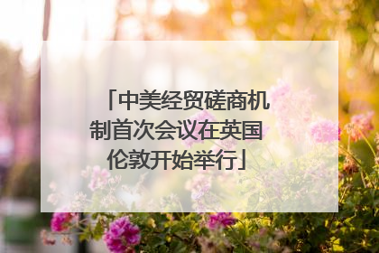 中美经贸磋商机制首次会议在英国伦敦开始举行