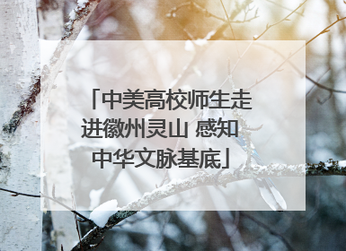 中美高校师生走进徽州灵山 感知中华文脉基底
