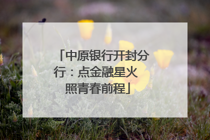 中原银行开封分行：点金融星火 照青春前程