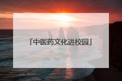 中医药文化进校园