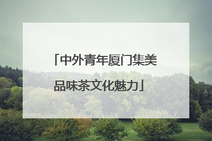 中外青年厦门集美品味茶文化魅力