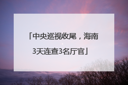 中央巡视收尾，海南3天连查3名厅官