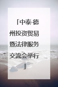 中泰·德州投资贸易暨法律服务交流会举行