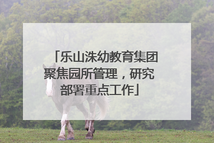 乐山洙幼教育集团聚焦园所管理，研究部署重点工作