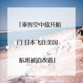 乘客空中欲开舱门 日本飞往美国航班被迫改道