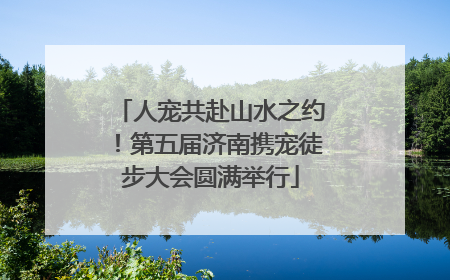 人宠共赴山水之约！第五届济南携宠徒步大会圆满举行