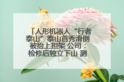 人形机器人“行者泰山”泰山首秀滑倒被抬上担架 公司：检修后独立下山 测试就是为暴露问题