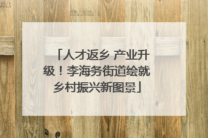 人才返乡 产业升级！李海务街道绘就乡村振兴新图景