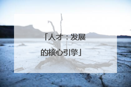 人才：发展的核心引擎