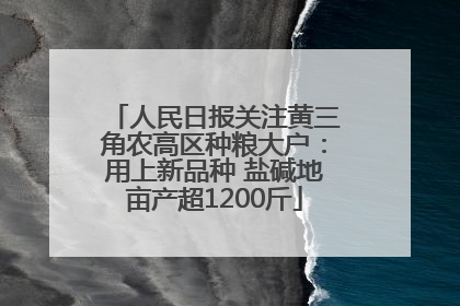 人民日报关注黄三角农高区种粮大户：用上新品种 盐碱地亩产超1200斤