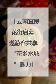 云南宜良花街启幕 邀游客共享“花乡水城”魅力