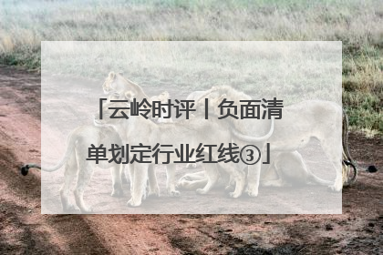 云岭时评丨负面清单划定行业红线③