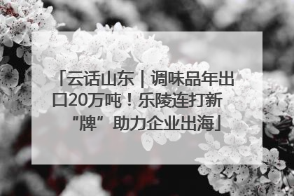 云话山东｜调味品年出口20万吨！乐陵连打新“牌”助力企业出海