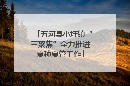 五河县小圩镇“三聚焦”全力推进夏种夏管工作