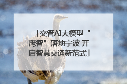 交管AI大模型“鹰智”落地宁波 开启智慧交通新范式