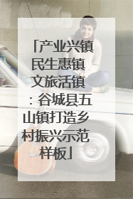 产业兴镇 民生惠镇 文旅活镇：谷城县五山镇打造乡村振兴示范样板