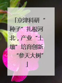 京津科研“种子”扎根河北，产业“土壤”培育创新“参天大树”