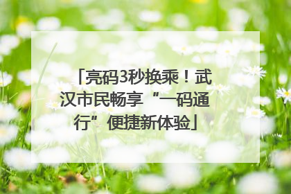 亮码3秒换乘！武汉市民畅享“一码通行”便捷新体验
