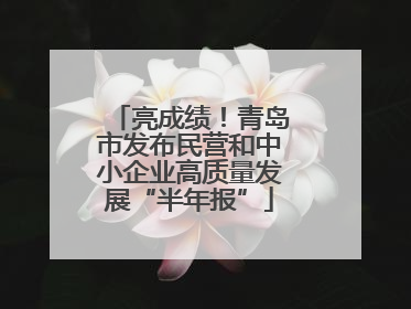 亮成绩！青岛市发布民营和中小企业高质量发展“半年报”