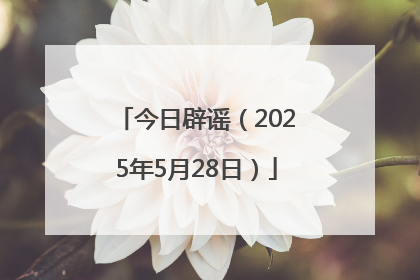 今日辟谣（2025年5月28日）