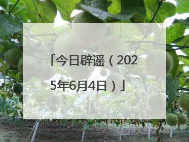 今日辟谣（2025年6月4日）