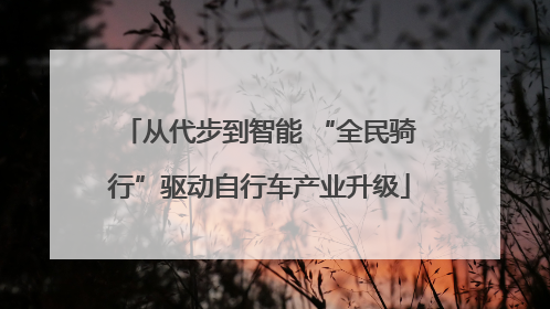 从代步到智能 “全民骑行”驱动自行车产业升级