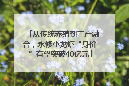 从传统养殖到三产融合，永修小龙虾“身价”有望突破40亿元