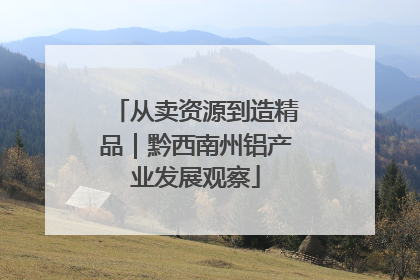 从卖资源到造精品｜黔西南州铝产业发展观察