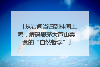 从岩间当归到林间土鸡，解码思茅大芦山美食的“自然哲学”