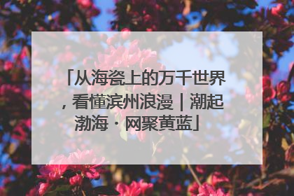 从海瓷上的万千世界，看懂滨州浪漫｜潮起渤海・网聚黄蓝