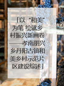 以“和美”为笔 绘就乡村振兴新画卷——孝南朋兴乡丹阳古镇和美乡村示范片区建设综述
