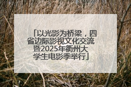以光影为桥梁，四省边际影视文化交流暨2025年衢州大学生电影季举行