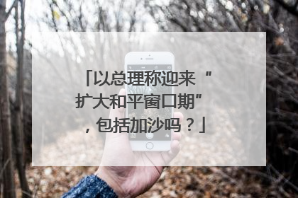 以总理称迎来“扩大和平窗口期”，包括加沙吗？