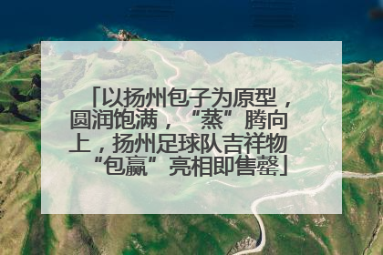 以扬州包子为原型，圆润饱满，“蒸”腾向上，扬州足球队吉祥物“包赢”亮相即售罄