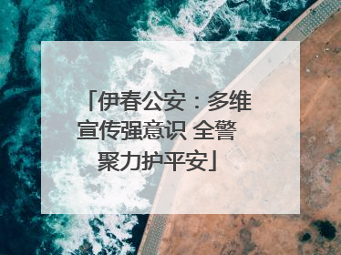 伊春公安：多维宣传强意识 全警聚力护平安