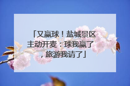 又赢球！盐城景区主动开麦：球我赢了，旅游我请了