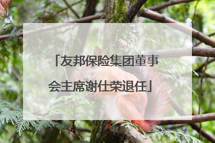 友邦保险集团董事会主席谢仕荣退任