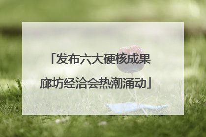 发布六大硬核成果 廊坊经洽会热潮涌动