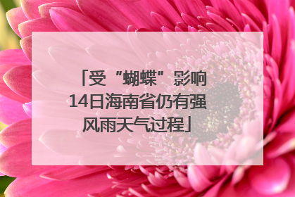 受“蝴蝶”影响 14日海南省仍有强风雨天气过程